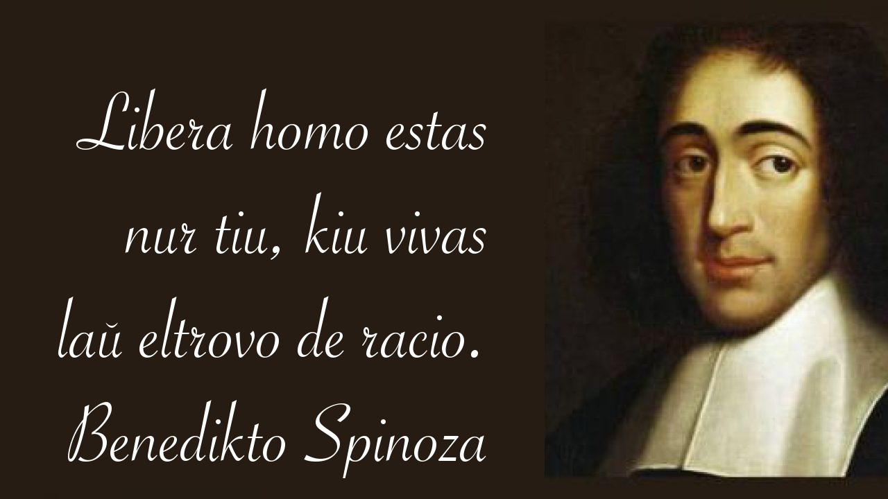 Spinoza diris